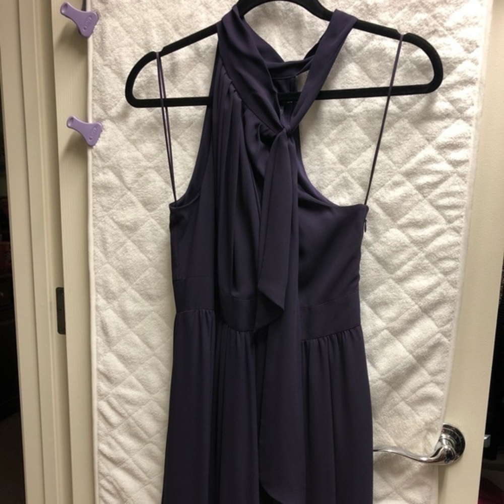 Express Plum Formal Dress